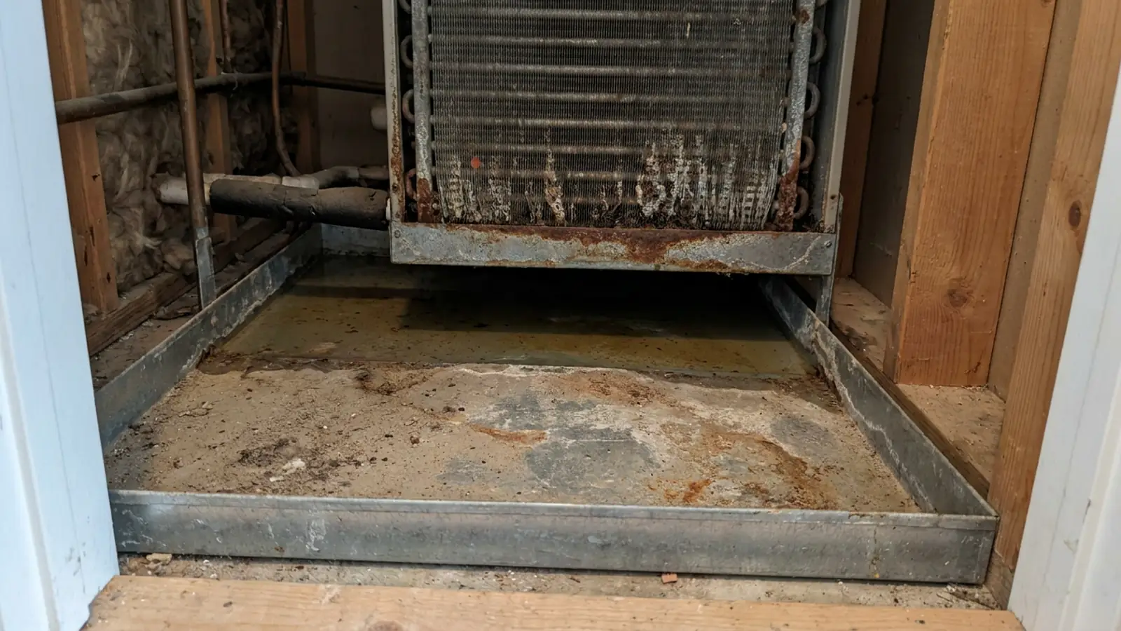 A condensate drain pan under an indoor evaporator coil holding shallow standing water